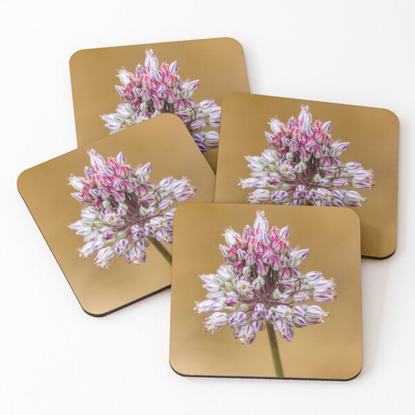 Item preview, Close-Up Pink Allium Flower Cluster With White Striped Buds On Soft Beige Background designed and sold by Nmallia.