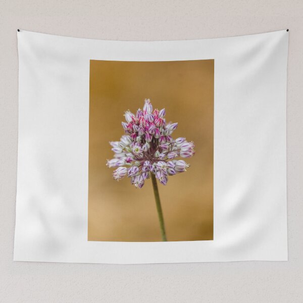 Item preview, Close-Up Pink Allium Flower Cluster With White Striped Buds On Soft Beige Background designed and sold by Nmallia.