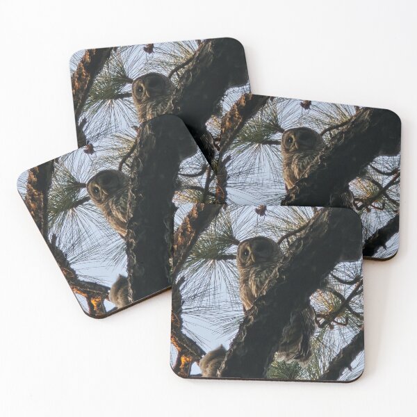 Item preview, Barred Owl at Sunset designed and sold by Amanda Huggins.