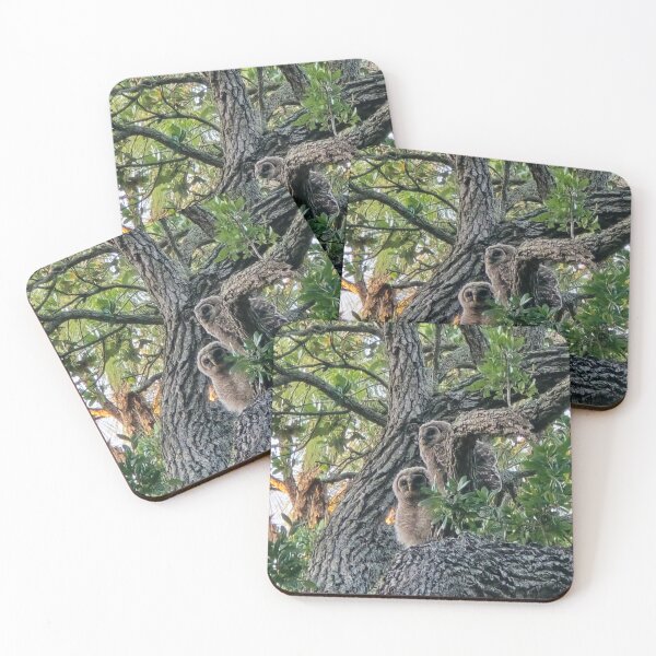 Item preview, Baby Barred Owls designed and sold by Amanda Huggins.