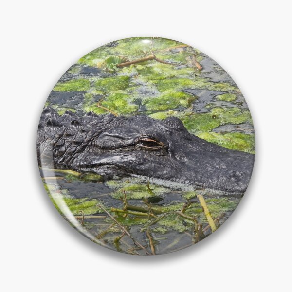 Item preview, Florida Gators designed and sold by Amanda Huggins.