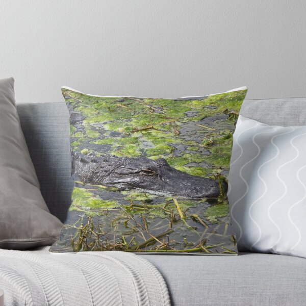 Item preview, Florida Gators designed and sold by Amanda Huggins.