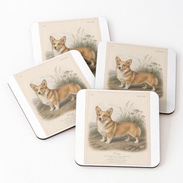 Item preview, Corgi - Audubon Illustration designed and sold by JJSizzleheimer.