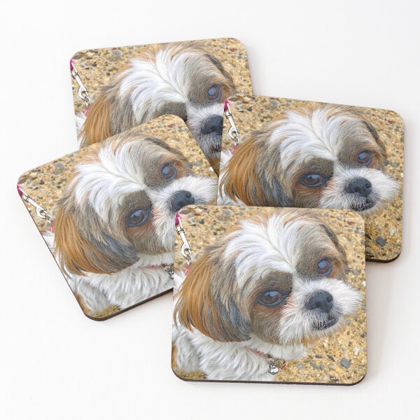 Item preview, Shih Tzu Puppy, The Look of Intelligence designed and sold by AMacGPhilly.