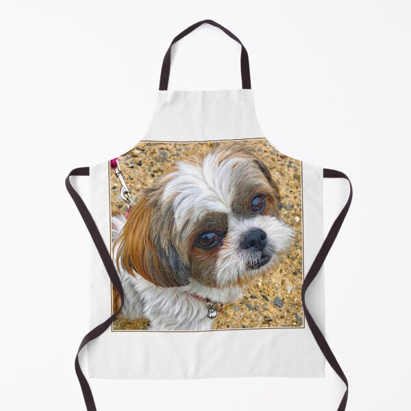 Item preview, Shih Tzu Puppy, The Look of Intelligence designed and sold by AMacGPhilly.