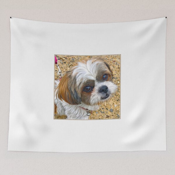 Item preview, Shih Tzu Puppy, The Look of Intelligence designed and sold by AMacGPhilly.