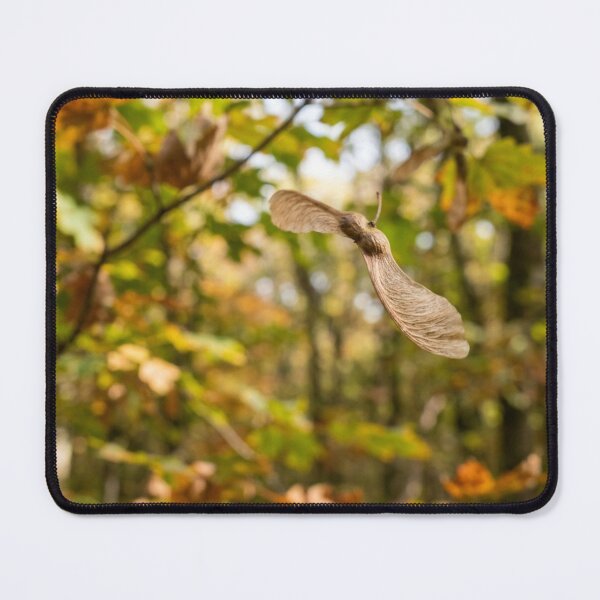 Item preview, Maple seed in full fall designed and sold by Malisa345.