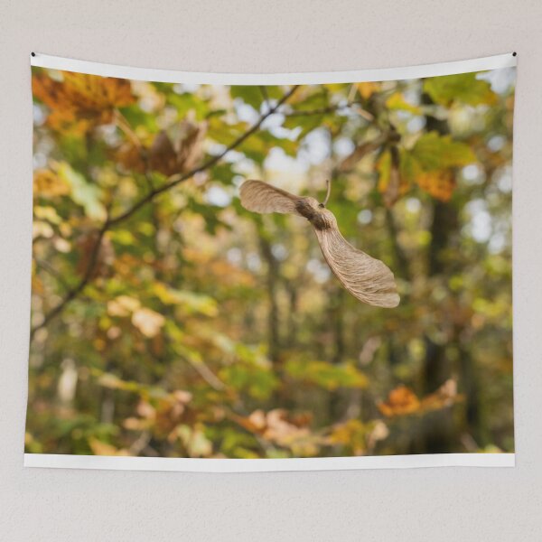 Item preview, Maple seed in full fall designed and sold by Malisa345.