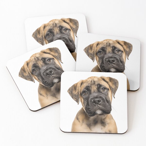 Aperçu de l'œuvre Adorable chiot Bullmastiff pour les amoureux des chiots Bullmastiff. créée et vendue par LazyOwlStore.