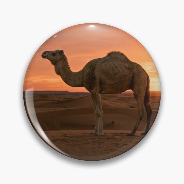 Item preview, Camel at sunset designed and sold by Malisa345.