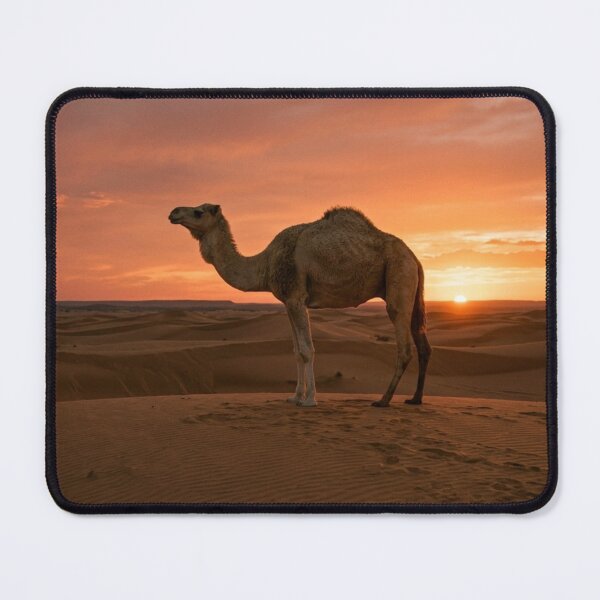 Item preview, Camel at sunset designed and sold by Malisa345.