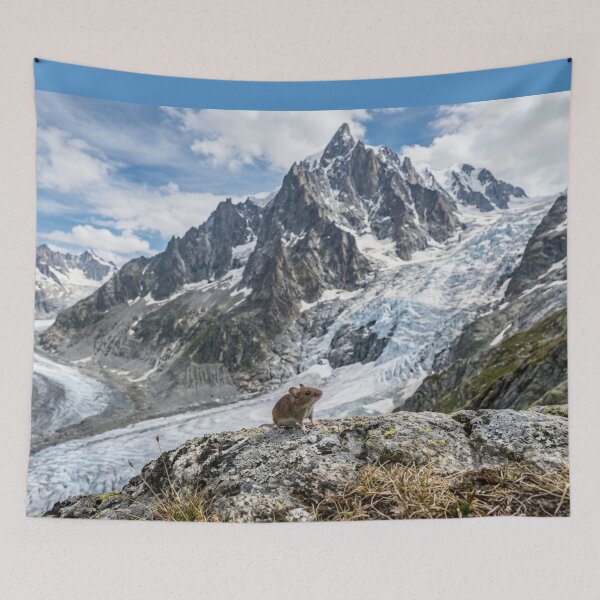 Item preview, Small animal facing a gigantic element designed and sold by Malisa345.