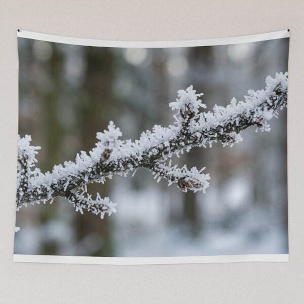 Item preview, Frozen branch covered in thick frost designed and sold by Malisa345.
