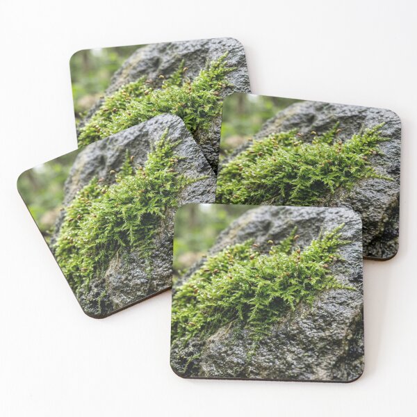 Item preview, Moss on wet stone designed and sold by Malisa345.