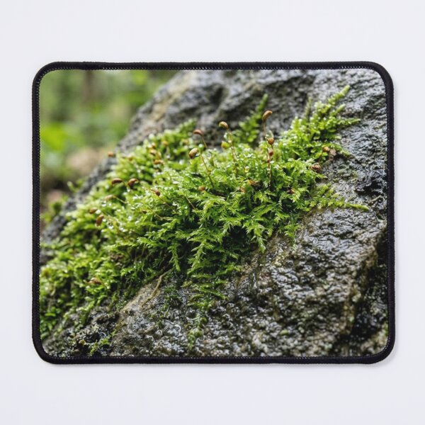 Item preview, Moss on wet stone designed and sold by Malisa345.