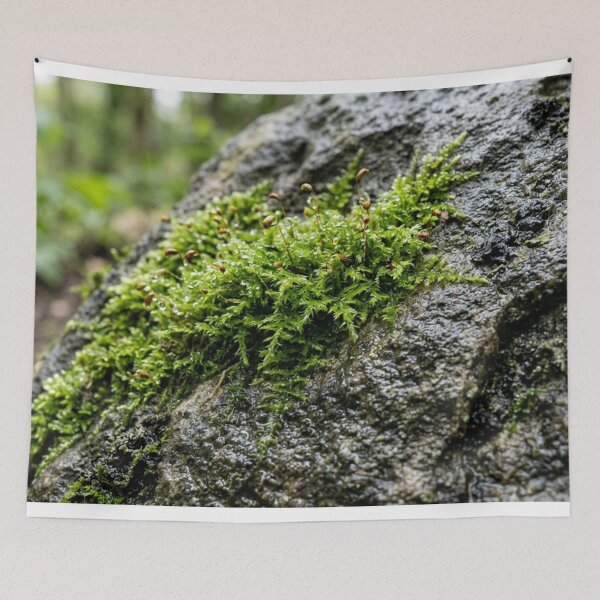 Item preview, Moss on wet stone designed and sold by Malisa345.