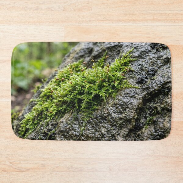 Item preview, Moss on wet stone designed and sold by Malisa345.