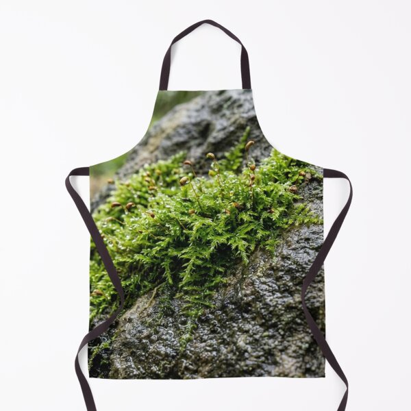 Item preview, Moss on wet stone designed and sold by Malisa345.
