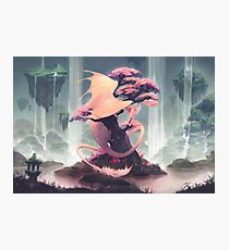 roost Photographic Print