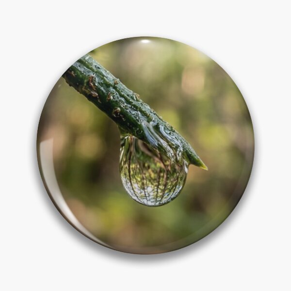 Item preview, Drop suspended from a pine needle designed and sold by Malisa345.