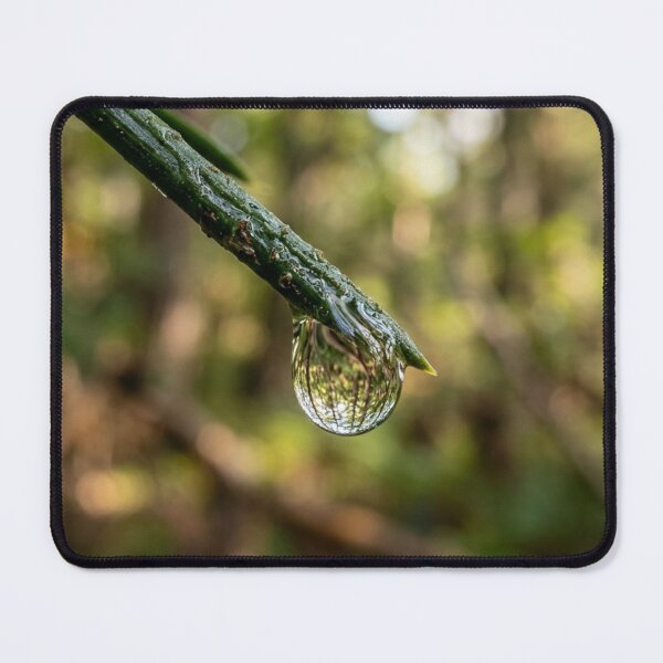 Item preview, Drop suspended from a pine needle designed and sold by Malisa345.