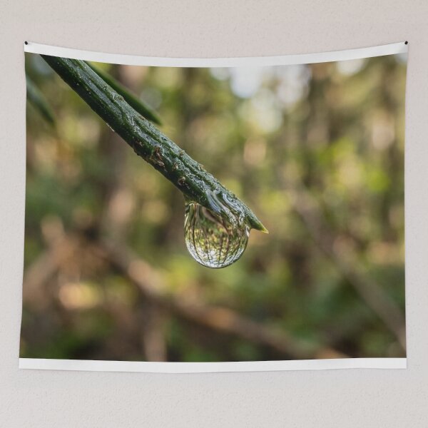 Item preview, Drop suspended from a pine needle designed and sold by Malisa345.