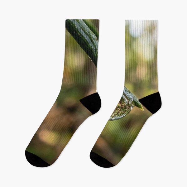 Item preview, Drop suspended from a pine needle designed and sold by Malisa345.
