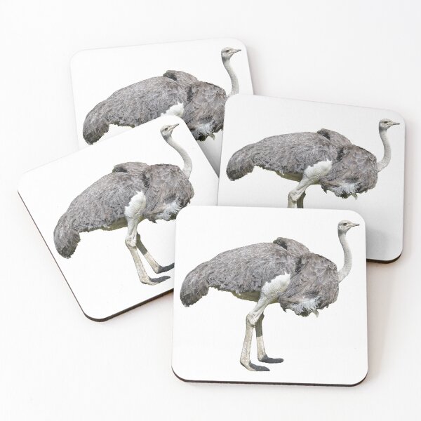 Item preview, Ostrich designed and sold by Marcu Ioachim.