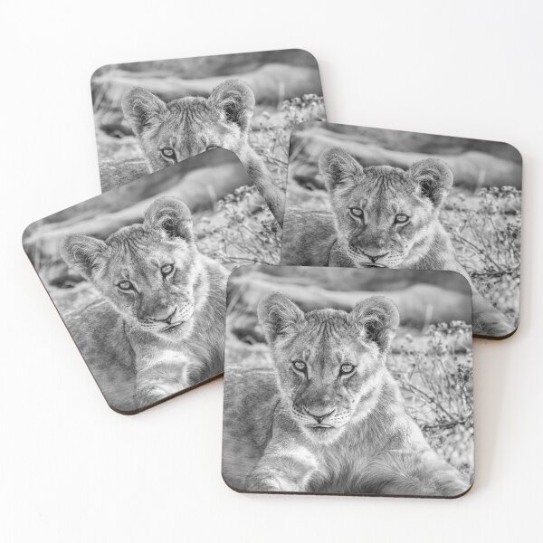 Item preview, Watchful Lion Cub in Black and White designed and sold by Kay Brewer.