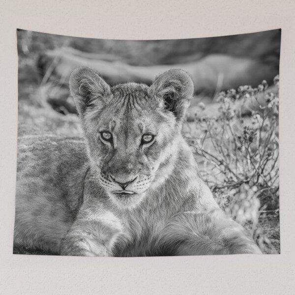Item preview, Watchful Lion Cub in Black and White designed and sold by Kay Brewer.