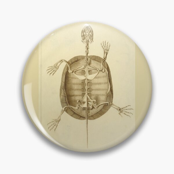 Item preview, Anatomy of the European Tortoise by Ludwig Heinrich Bojanus designed and sold by Amanda1775.