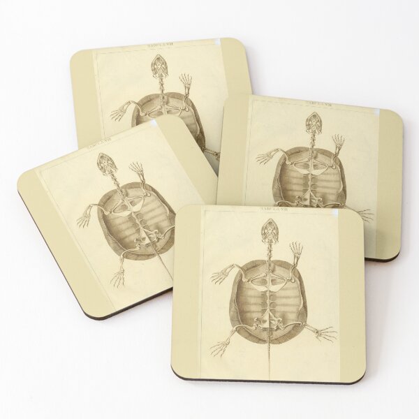 Item preview, Anatomy of the European Tortoise by Ludwig Heinrich Bojanus designed and sold by Amanda1775.