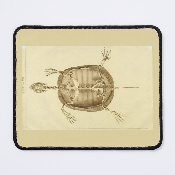Item preview, Anatomy of the European Tortoise by Ludwig Heinrich Bojanus designed and sold by Amanda1775.