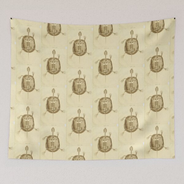 Item preview, Anatomy of the European Tortoise by Ludwig Heinrich Bojanus designed and sold by Amanda1775.