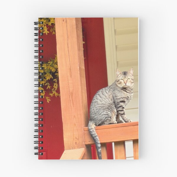 Item preview, The door greeter. designed and sold by Pearls1.