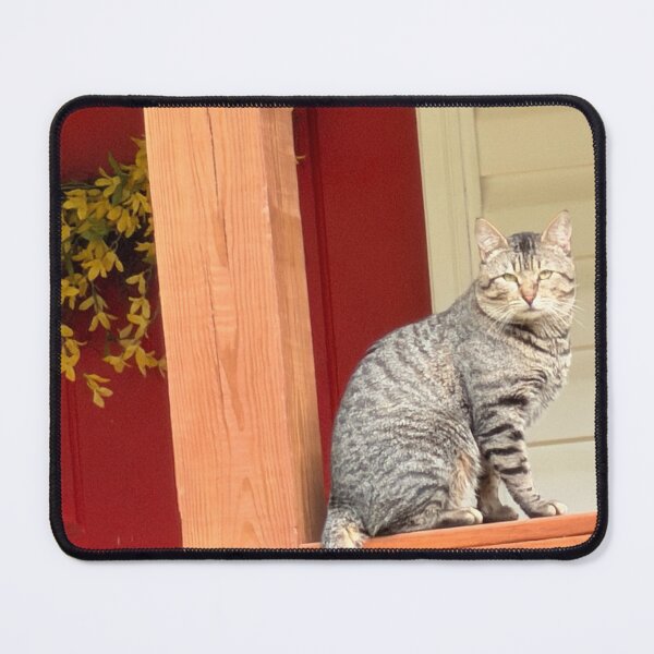 Item preview, The door greeter. designed and sold by Pearls1.