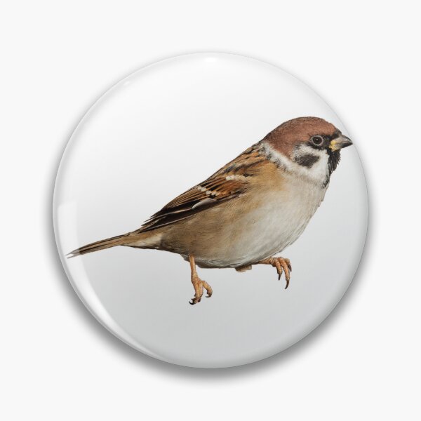 Item preview, Eurasian Tree Sparrow designed and sold by kyra0nicole.