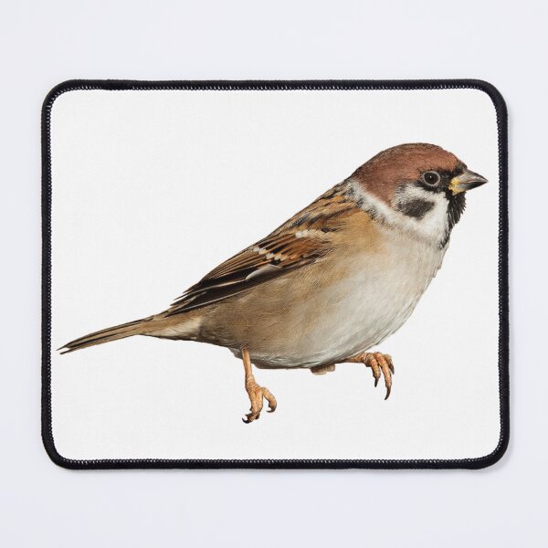 Item preview, Eurasian Tree Sparrow designed and sold by kyra0nicole.