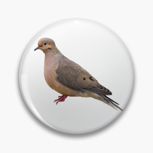 Item preview, Mourning Dove designed and sold by kyra0nicole.