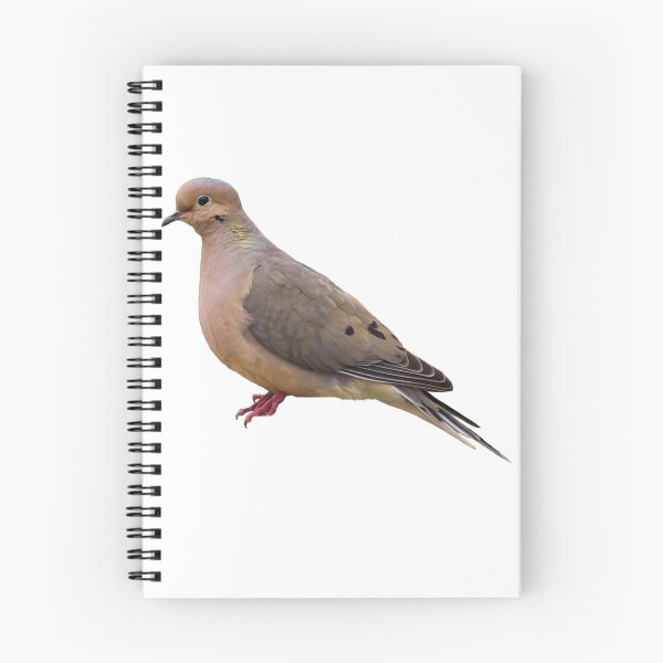 Item preview, Mourning Dove designed and sold by kyra0nicole.