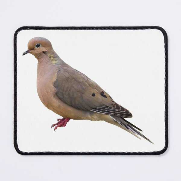 Item preview, Mourning Dove designed and sold by kyra0nicole.