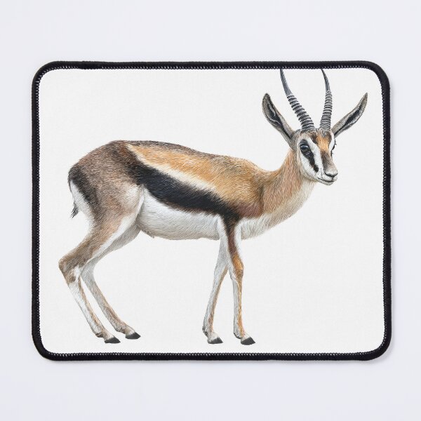 Item preview, Thomson gazelle designed and sold by ArtfulPlay.