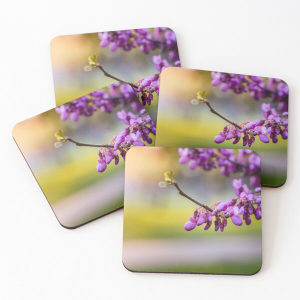 Item preview, Judas Tree Blossoms in Sunlight designed and sold by Rabee Khalil Photography.