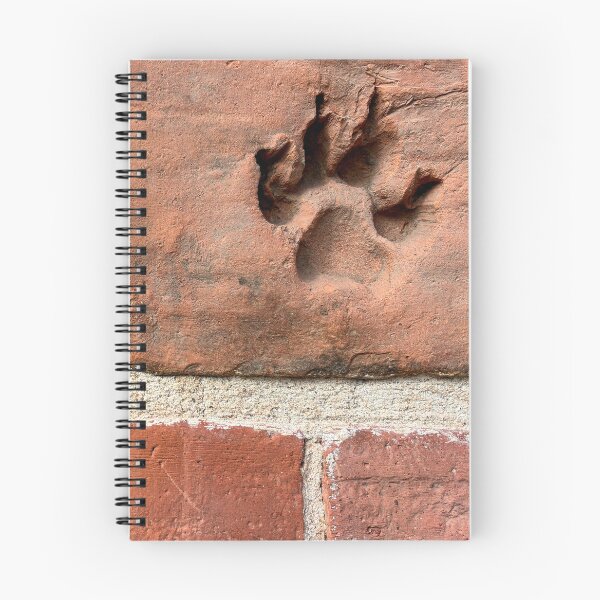 Item preview, Paw Print on Brick Wall designed and sold by sneidere9dace.