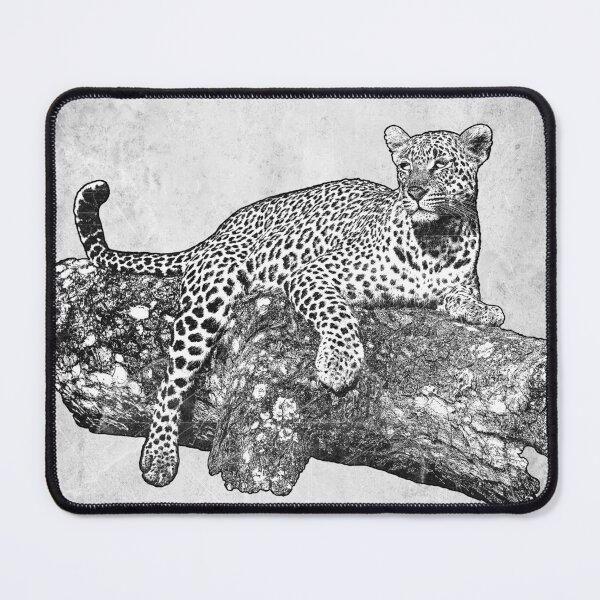 Item preview, African Leopard: Etched Big Cat Illustration Nature Wildlife designed and sold by Ghoul Enterprises.