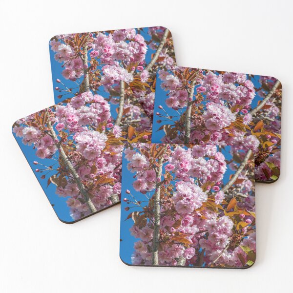 Item preview, Japanese flowering cherry designed and sold by Tom McPherson Photography.