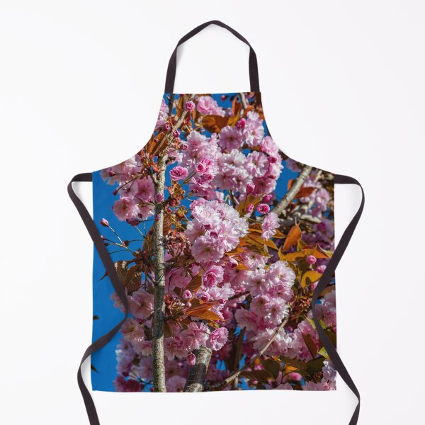 Item preview, Japanese flowering cherry designed and sold by Tom McPherson Photography.