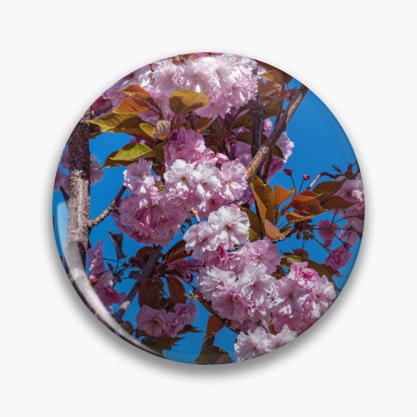 Item preview, Japanese flowering cherry designed and sold by Tom McPherson Photography.