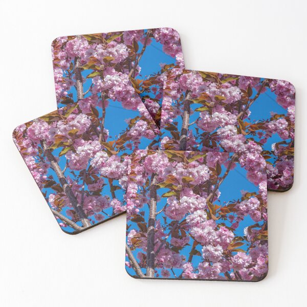 Item preview, Japanese flowering cherry designed and sold by Tom McPherson Photography.