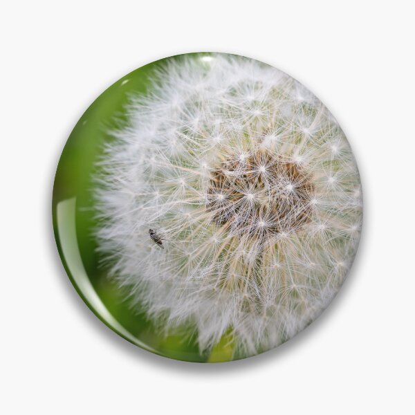 Item preview, Dandelion and Tiny Visitor designed and sold by Rabee Khalil Photography.